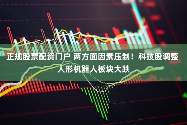 正规股票配资门户 两方面因素压制！科技股调整 人形机器人板块大跌